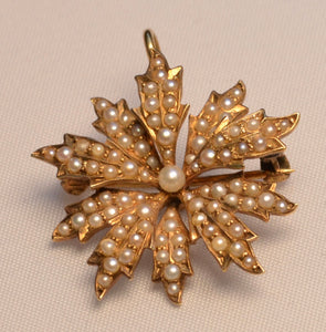Art Nouveau Natural Pearl (Mississippi River Pearl) Brooch/Pendant